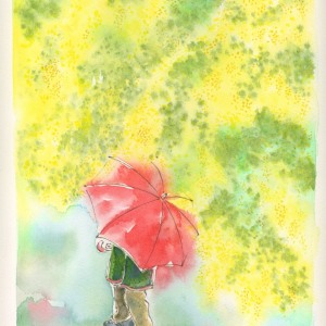 ミモザの雨