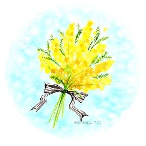 1_mimosa_twitter