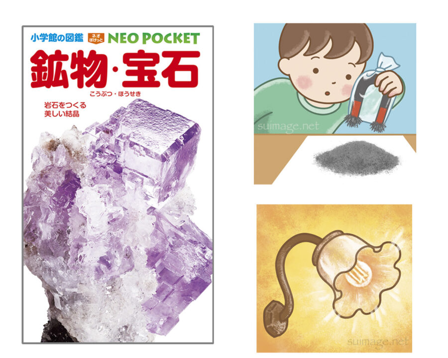 小学館図鑑 NEO POCKET「鉱物・宝石」挿絵制作 | イラストレーター